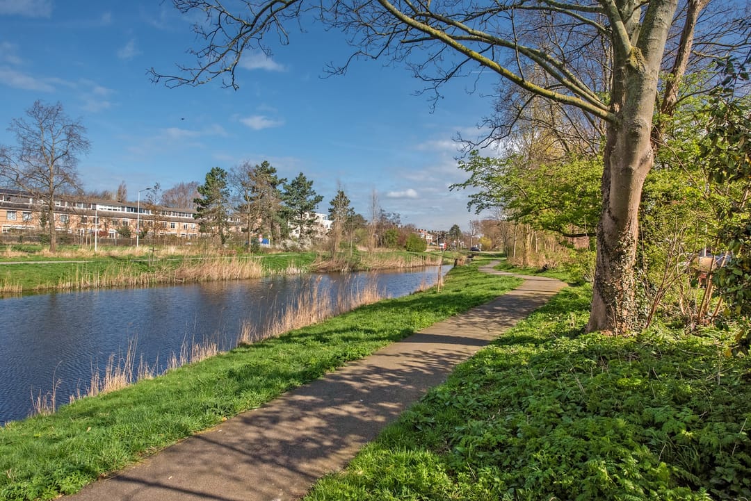 Foto 41 van Arabislaan 82