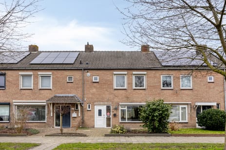 undefined main image