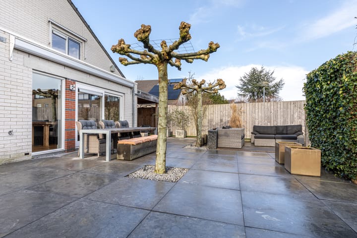 Photo 42 of Koningsbergen 32