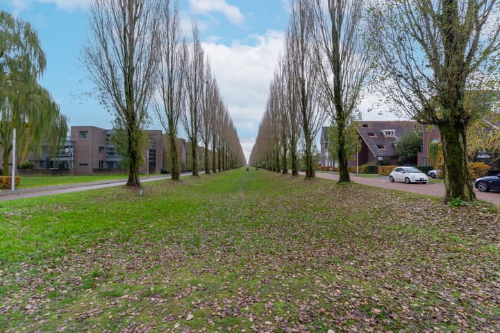 Photo 33 of Jacques Offenbachplantsoen 11