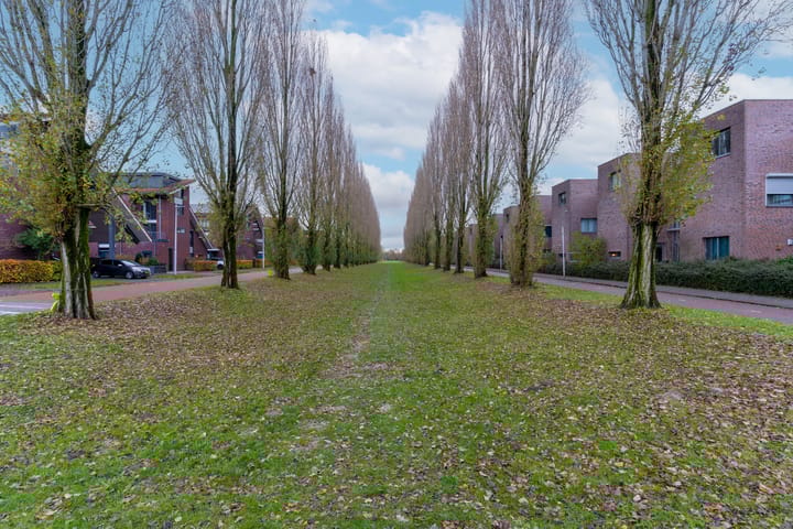 Photo 34 of Jacques Offenbachplantsoen 11