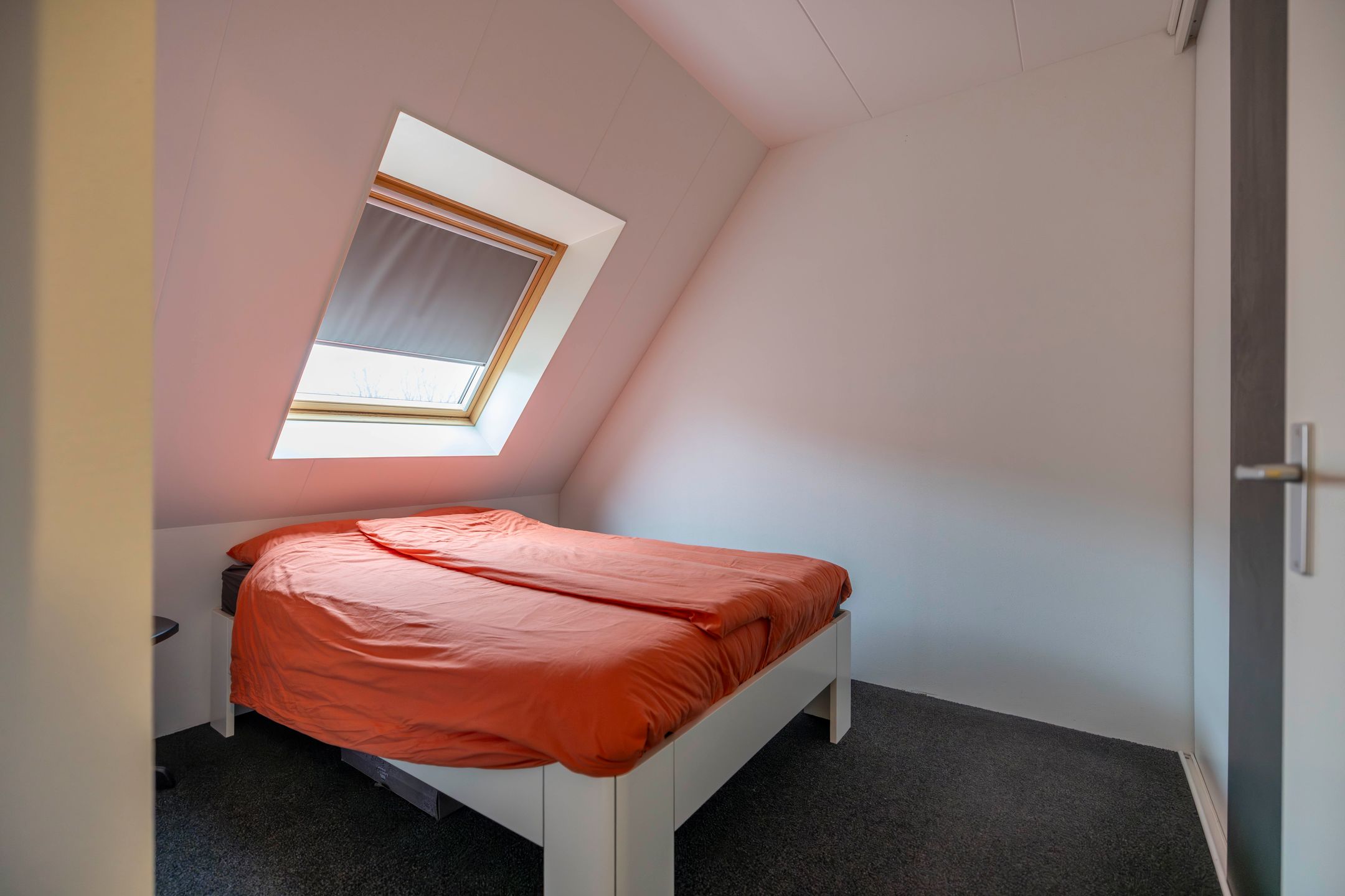 Photo 27 of Dûbelspul 3