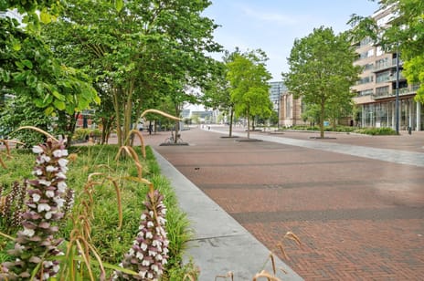 Librijesteeg 327 secondary image