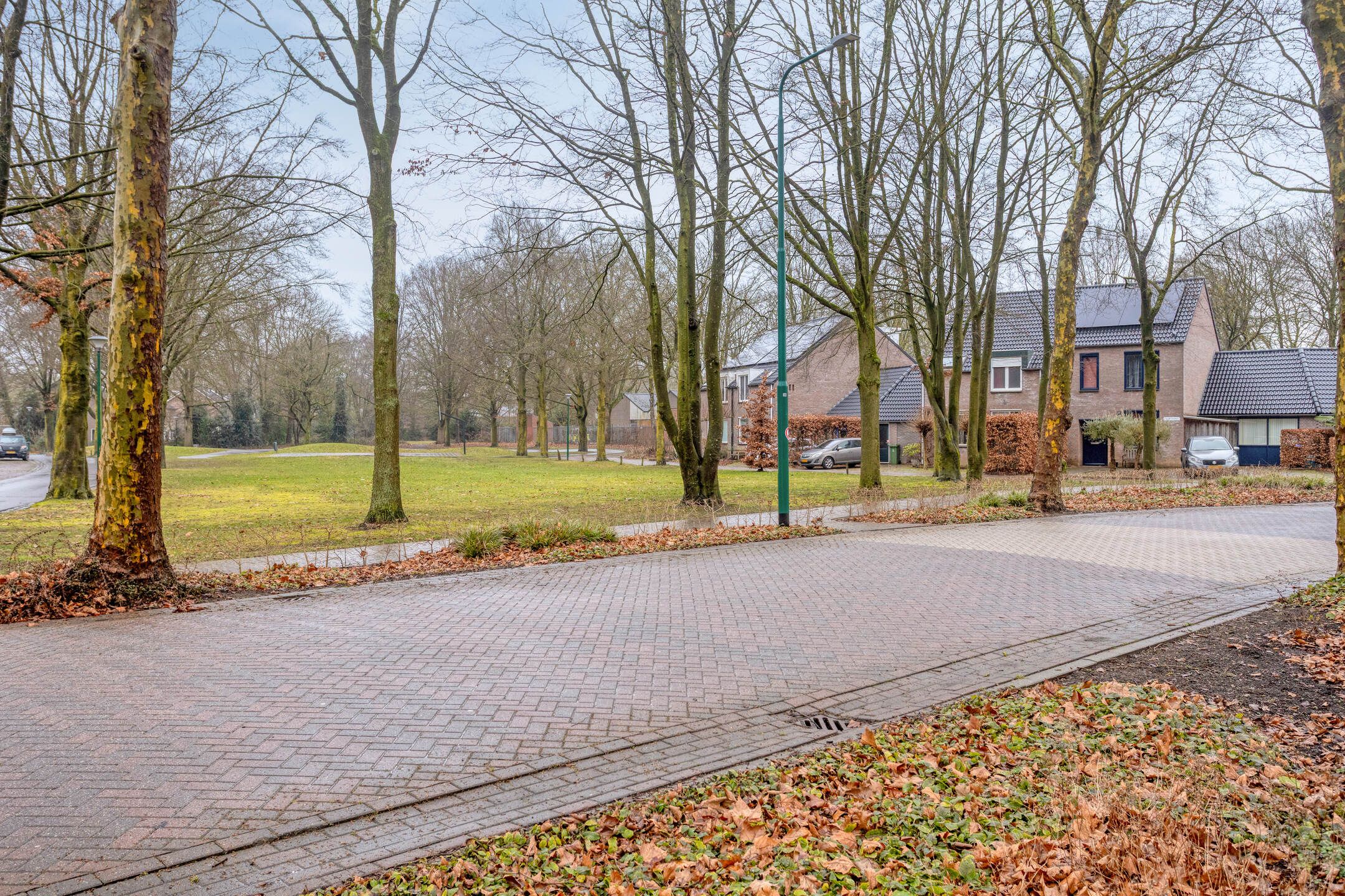 Photo 39 of Buizerdhorst 36