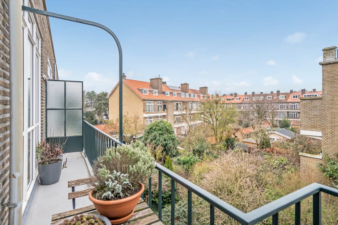 Foto 11 van Dotterbloemlaan 80