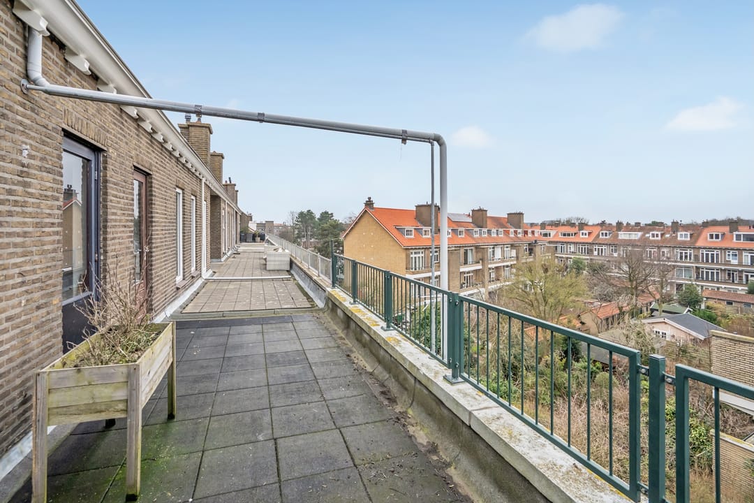 Foto 37 van Dotterbloemlaan 80