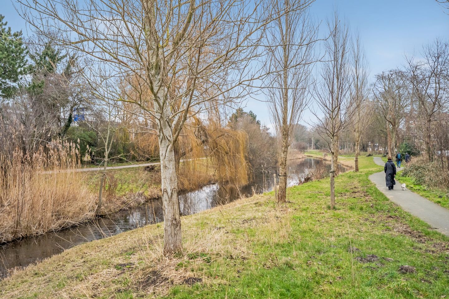 Foto 44 van Dotterbloemlaan 80