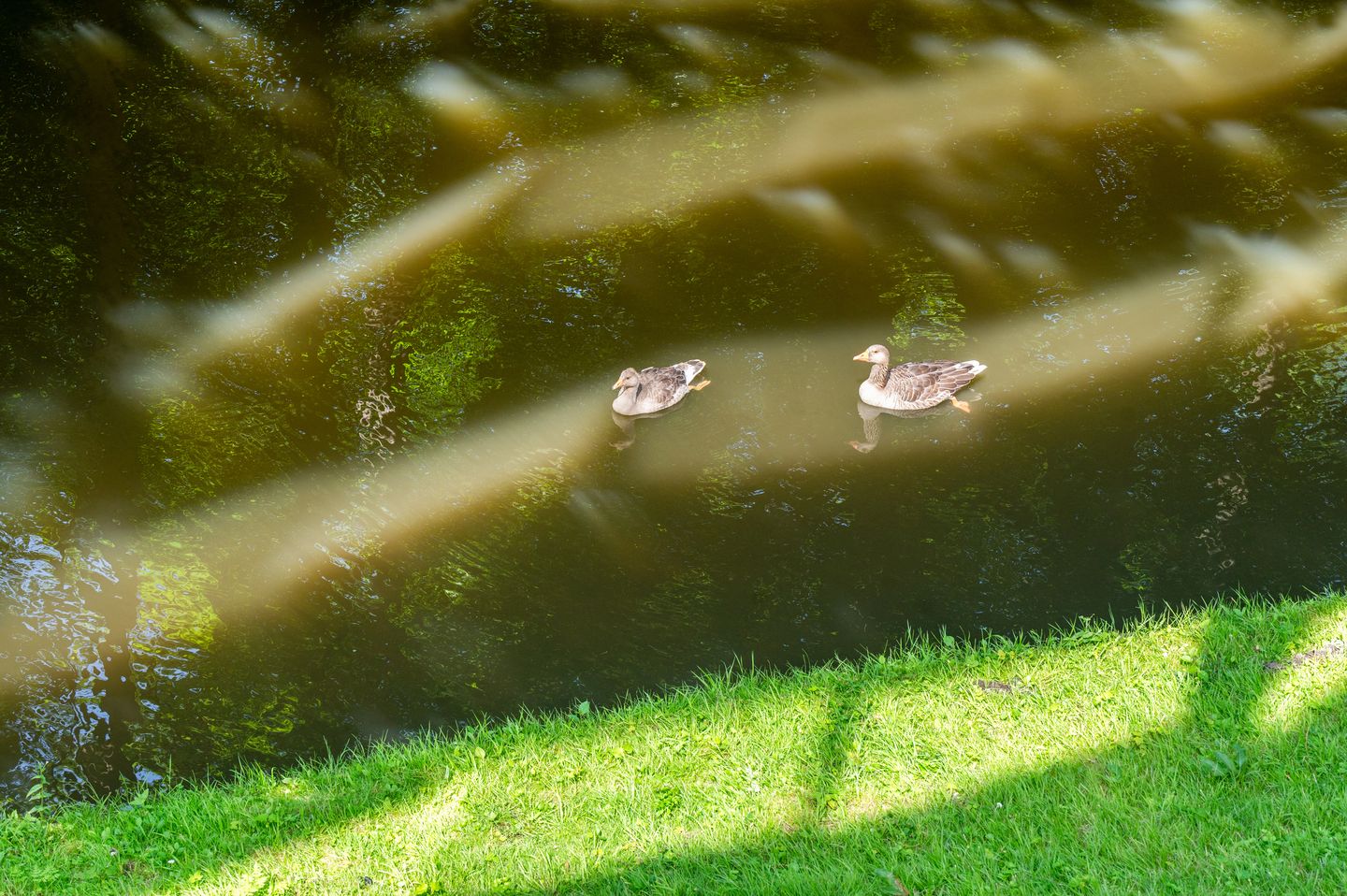 Foto 19 van Jupiterstraat 102