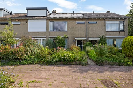 undefined main image