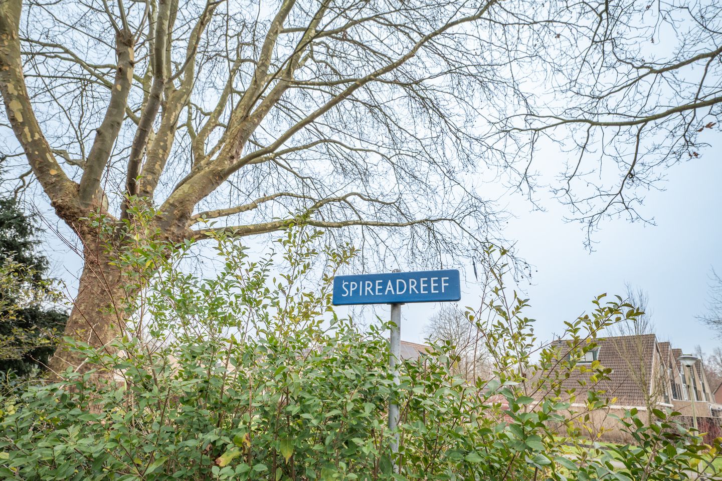 Foto 4 van Spireadreef 9