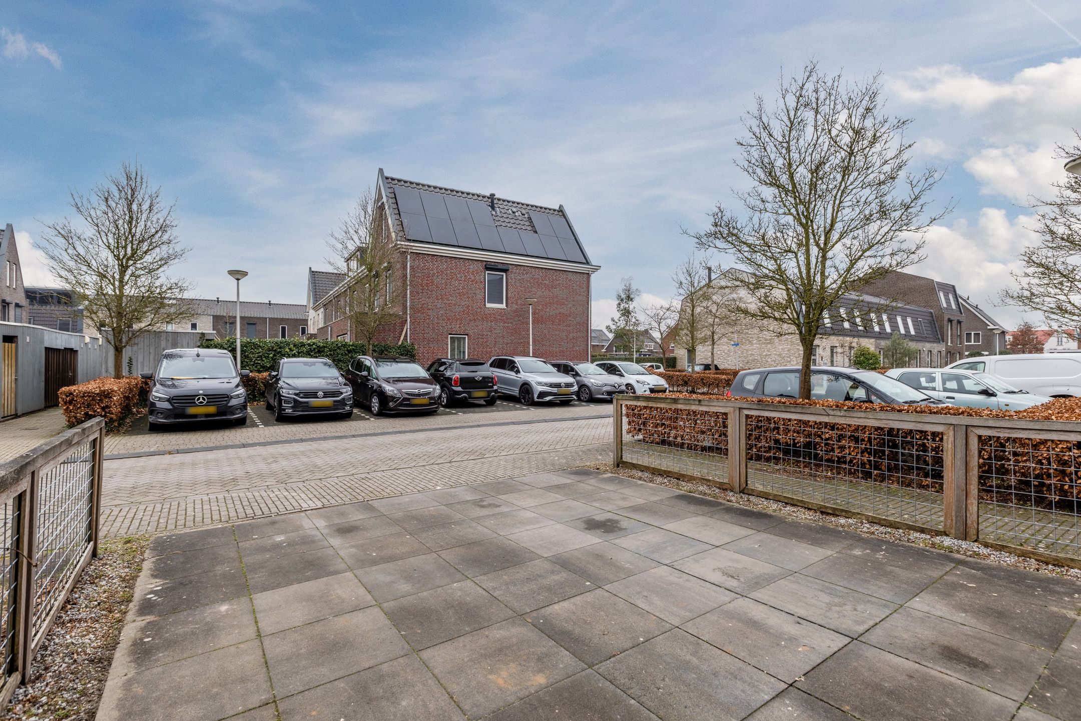 Foto 9 van Vogelwikke 9