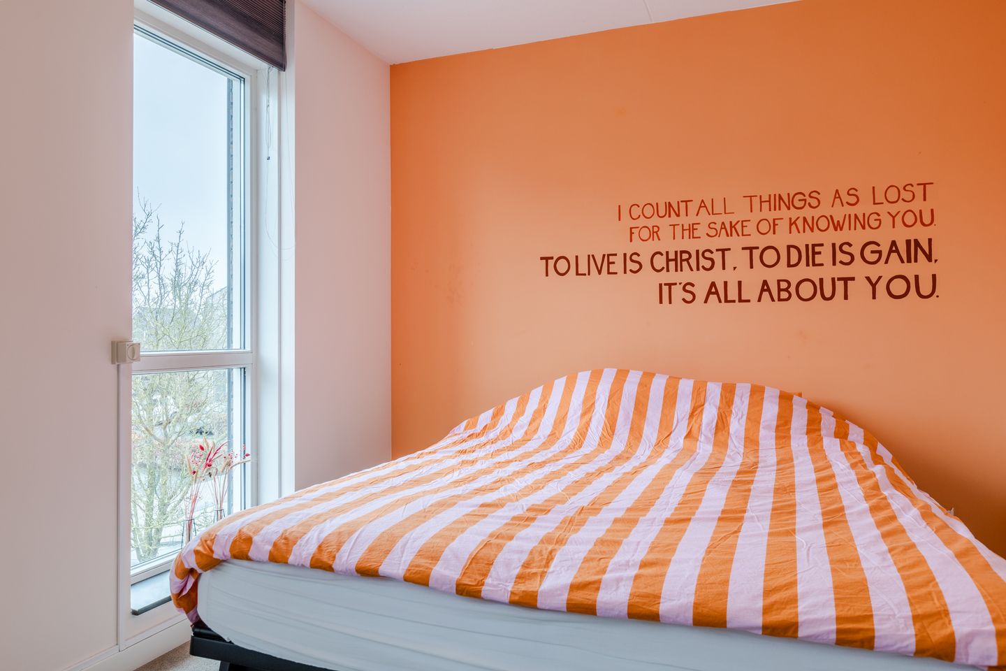 Foto 40 van Vogelwikke 9