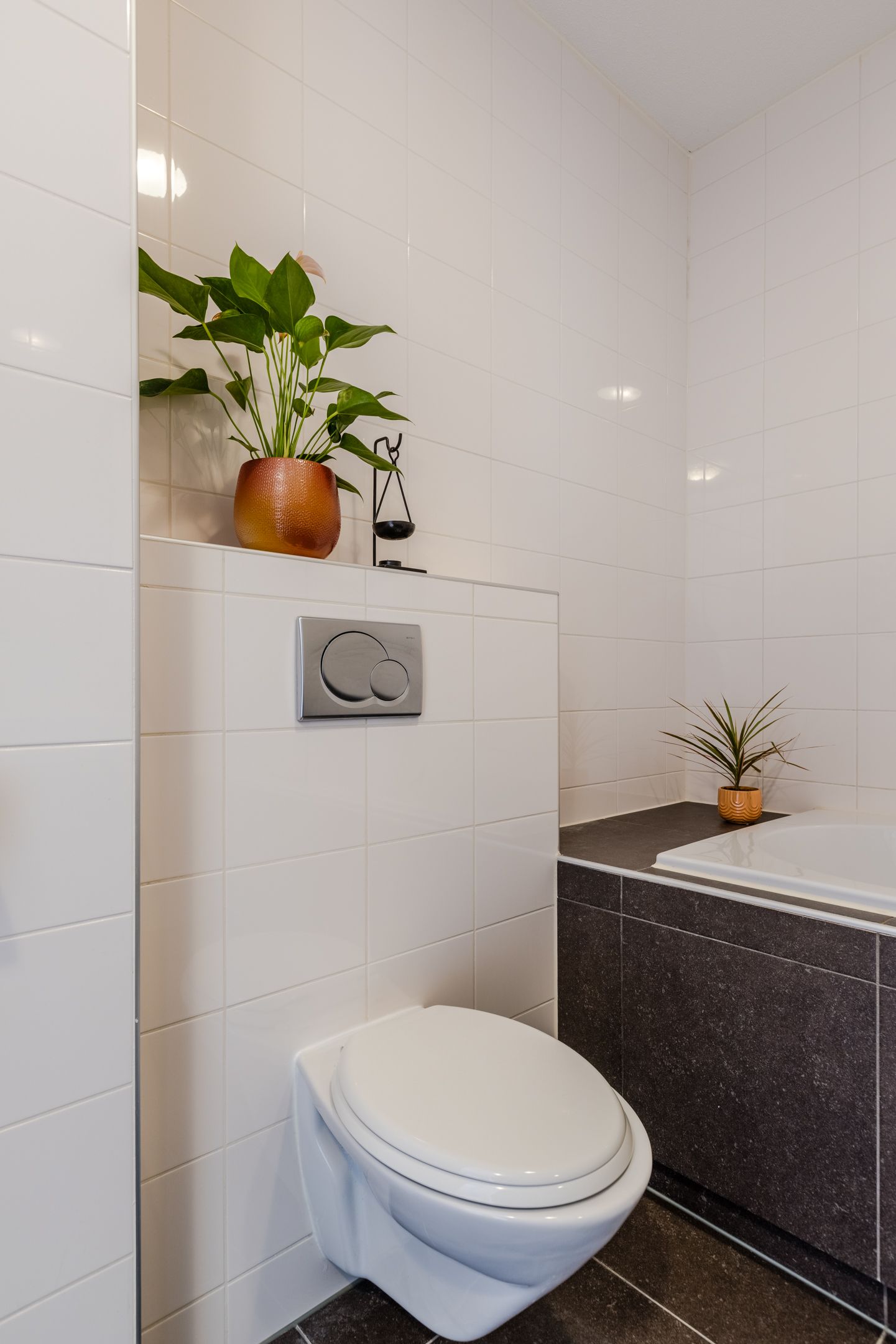 Foto 42 van Vogelwikke 9