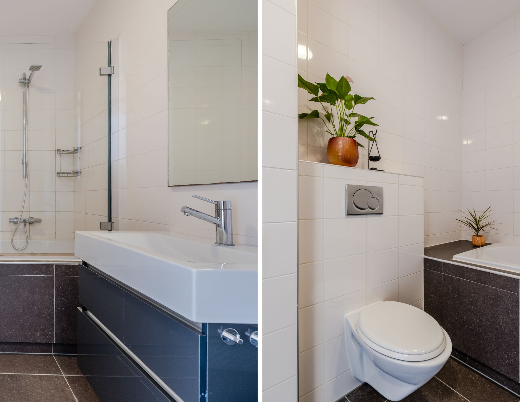 Foto 48 van Vogelwikke 9