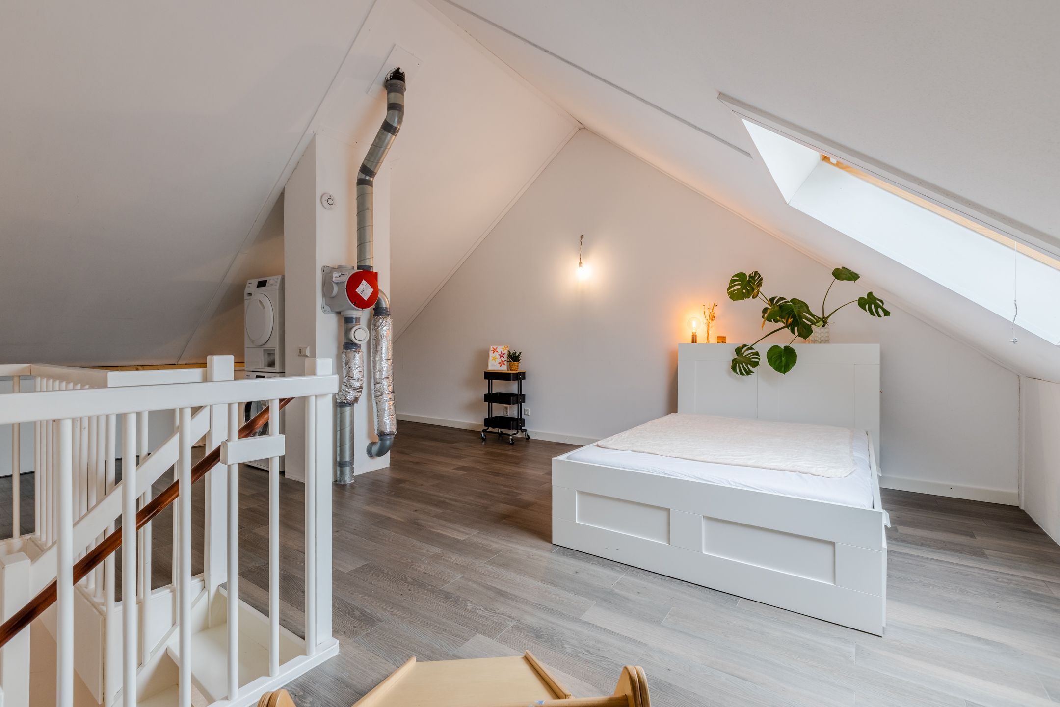 Foto 63 van Vogelwikke 9