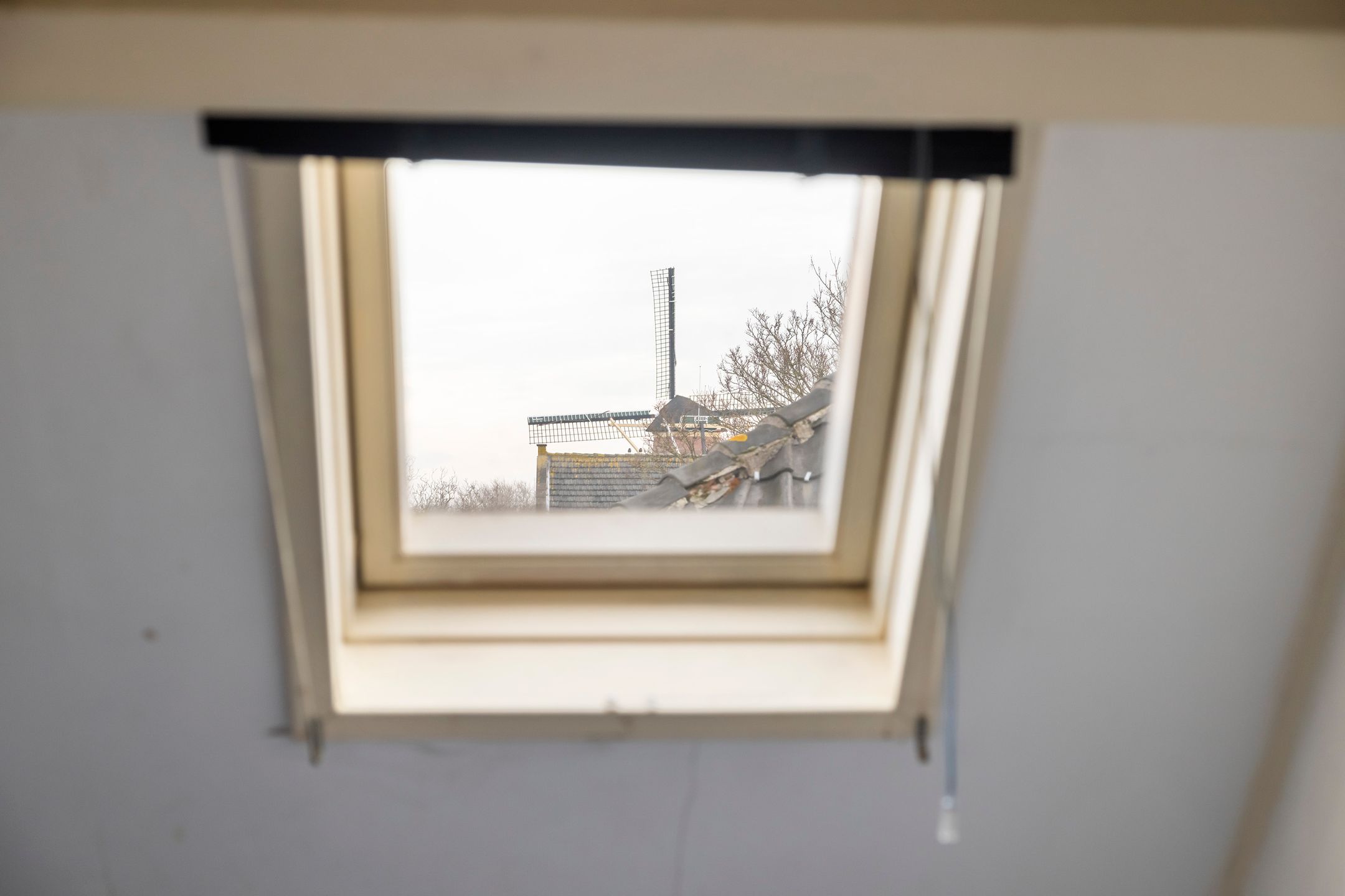 Foto 54 van Zuiddijk 34