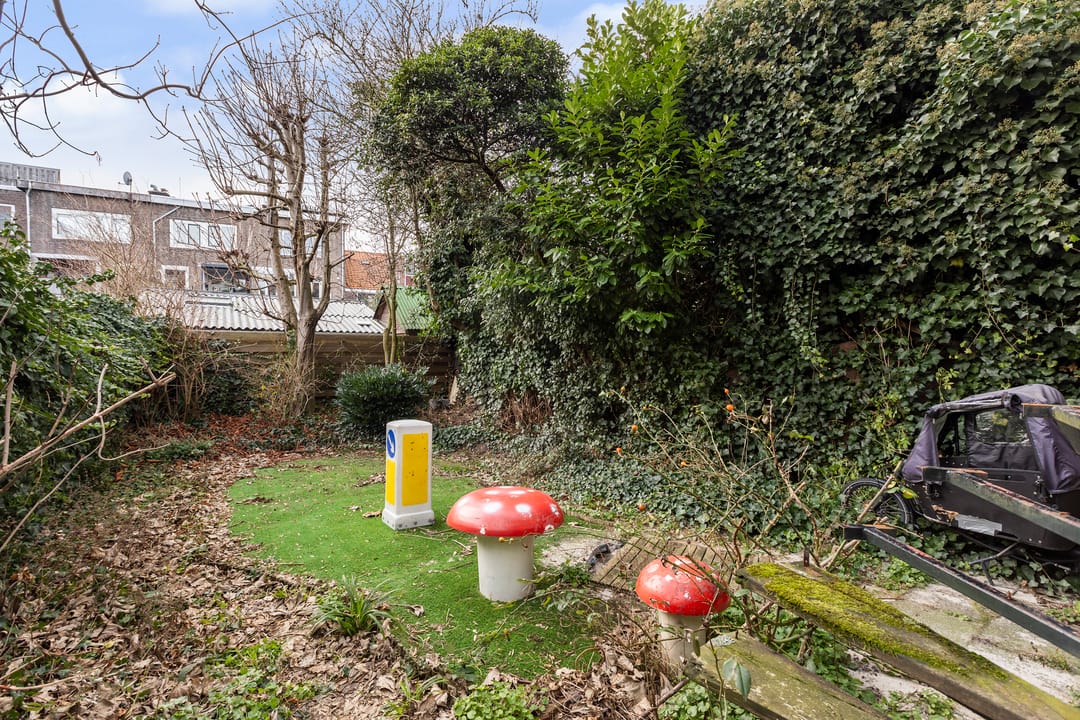 Foto 62 van Zuiddijk 34