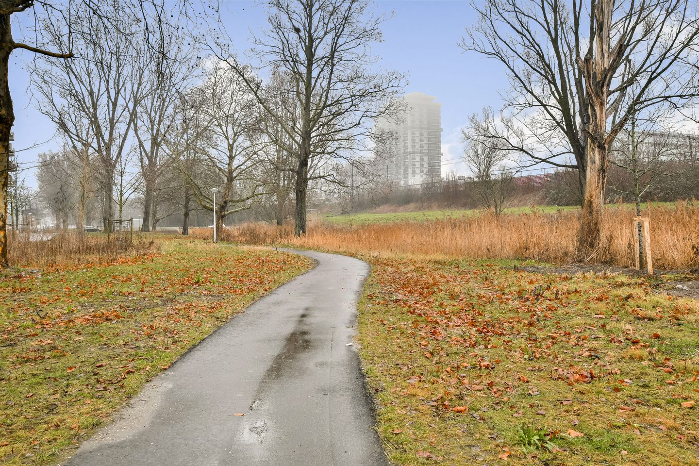 Photo 19 of Maria Beshof 28