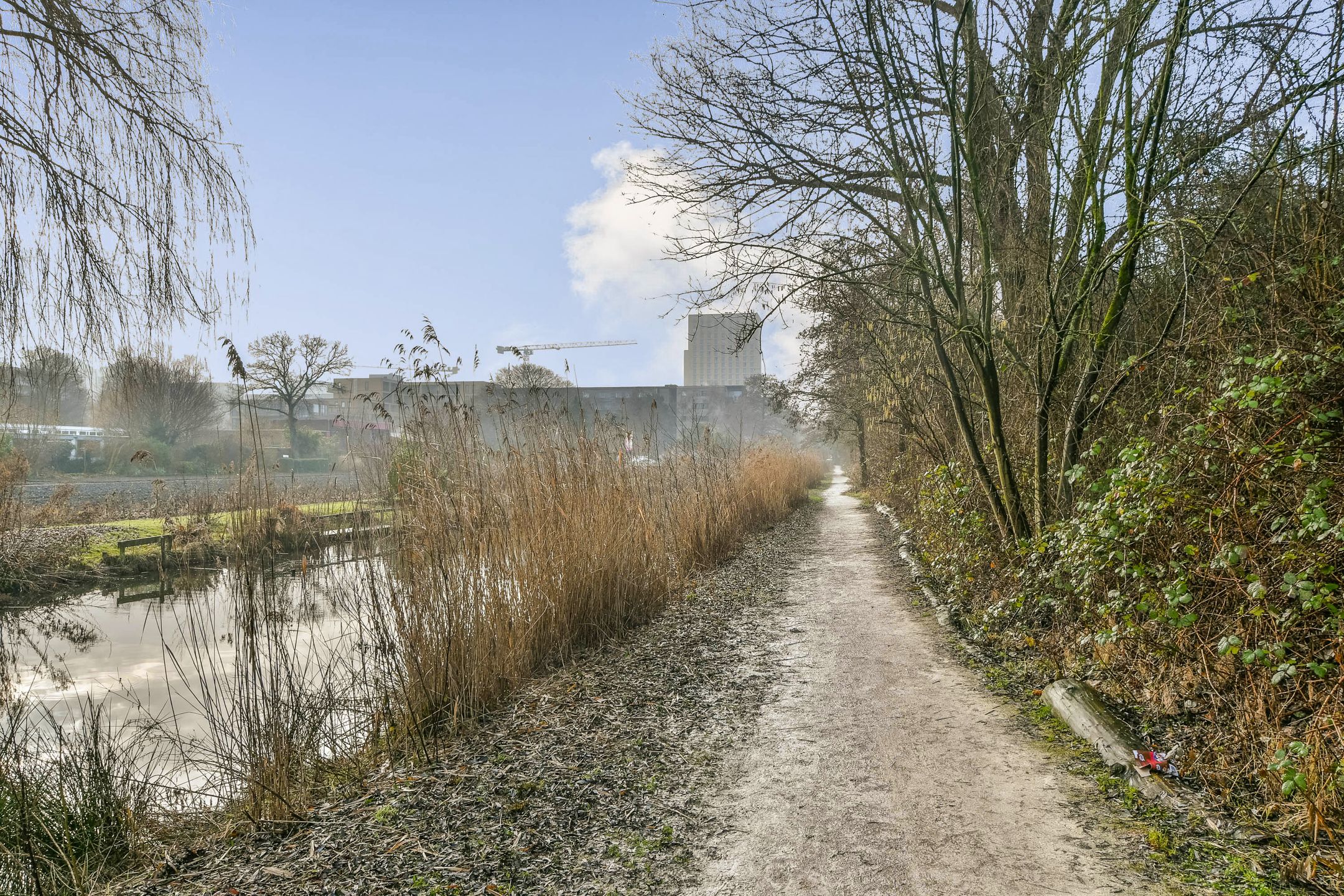 Photo 21 of Maria Beshof 28