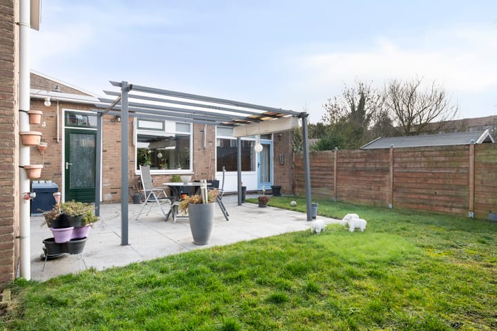 Foto 4 van Molenlaan 18