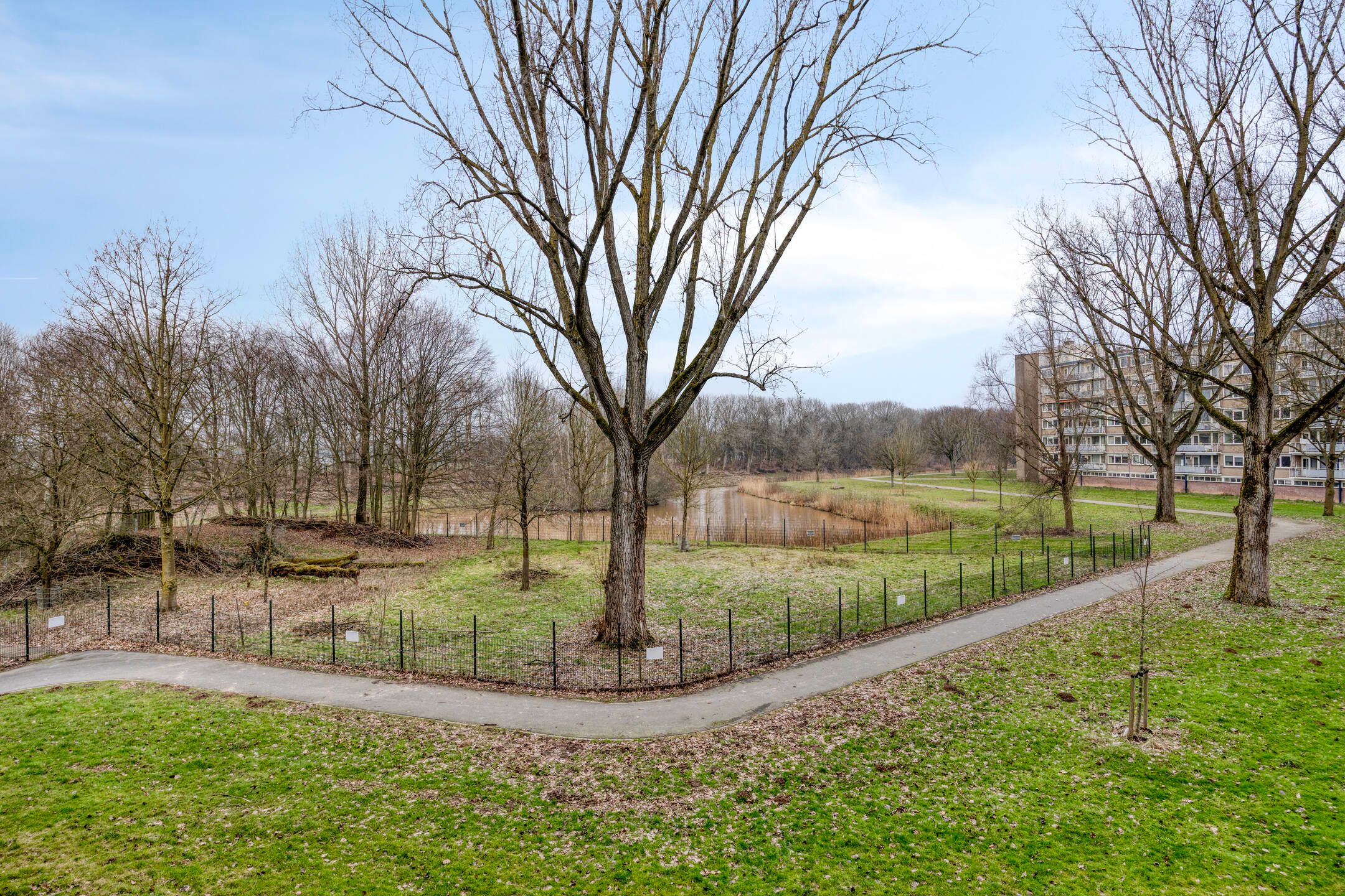 Foto 27 van Kruiskampsingel 355