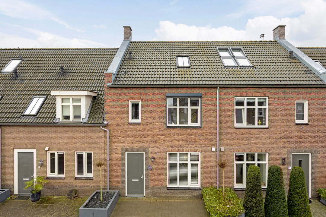 Foto 1 van Vliegenzwam 85