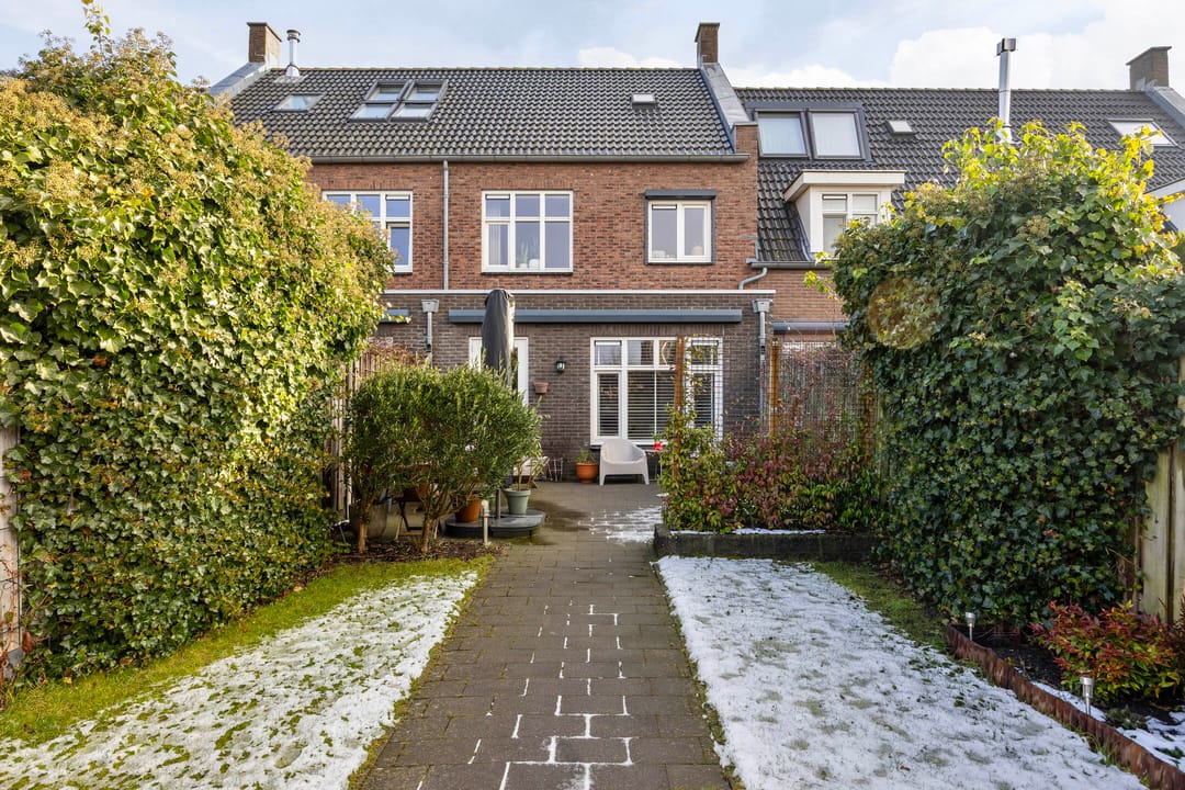 Foto 2 van Vliegenzwam 85