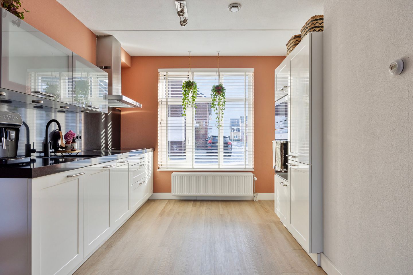 Foto 10 van Vliegenzwam 85