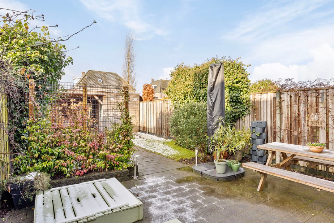 Foto 22 van Vliegenzwam 85