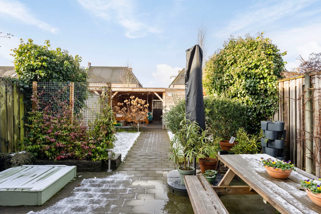 Foto 23 van Vliegenzwam 85