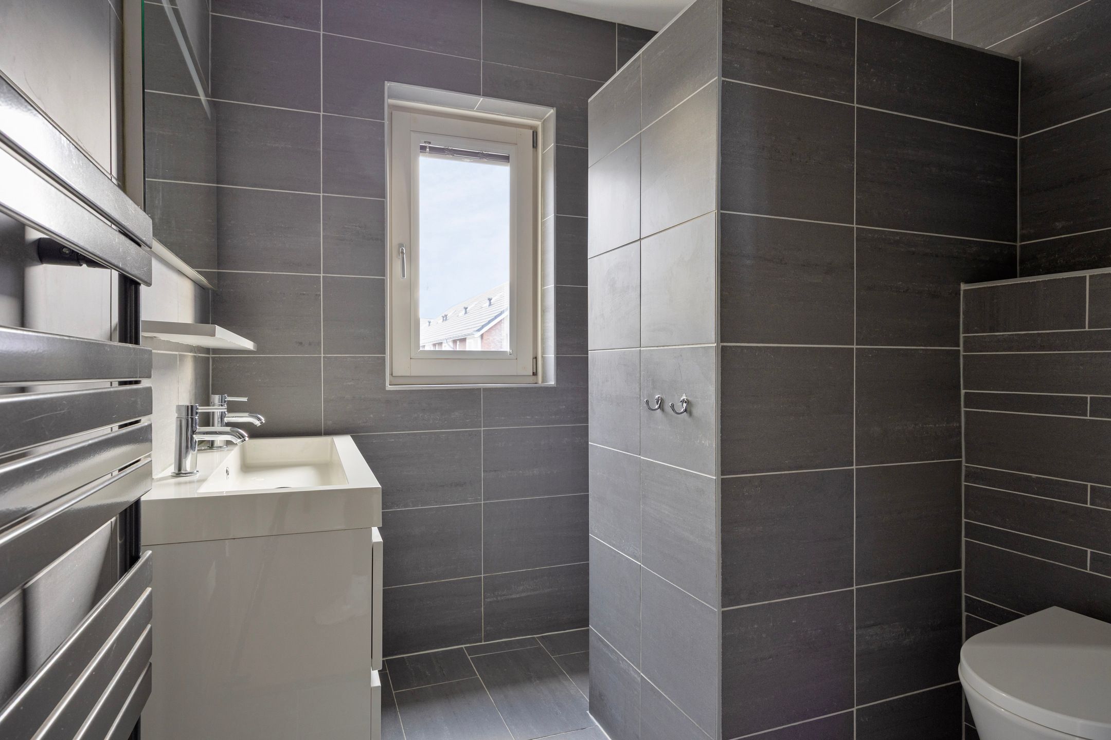 Foto 15 van Vliegenzwam 85