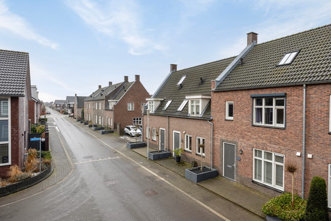 Foto 31 van Vliegenzwam 85