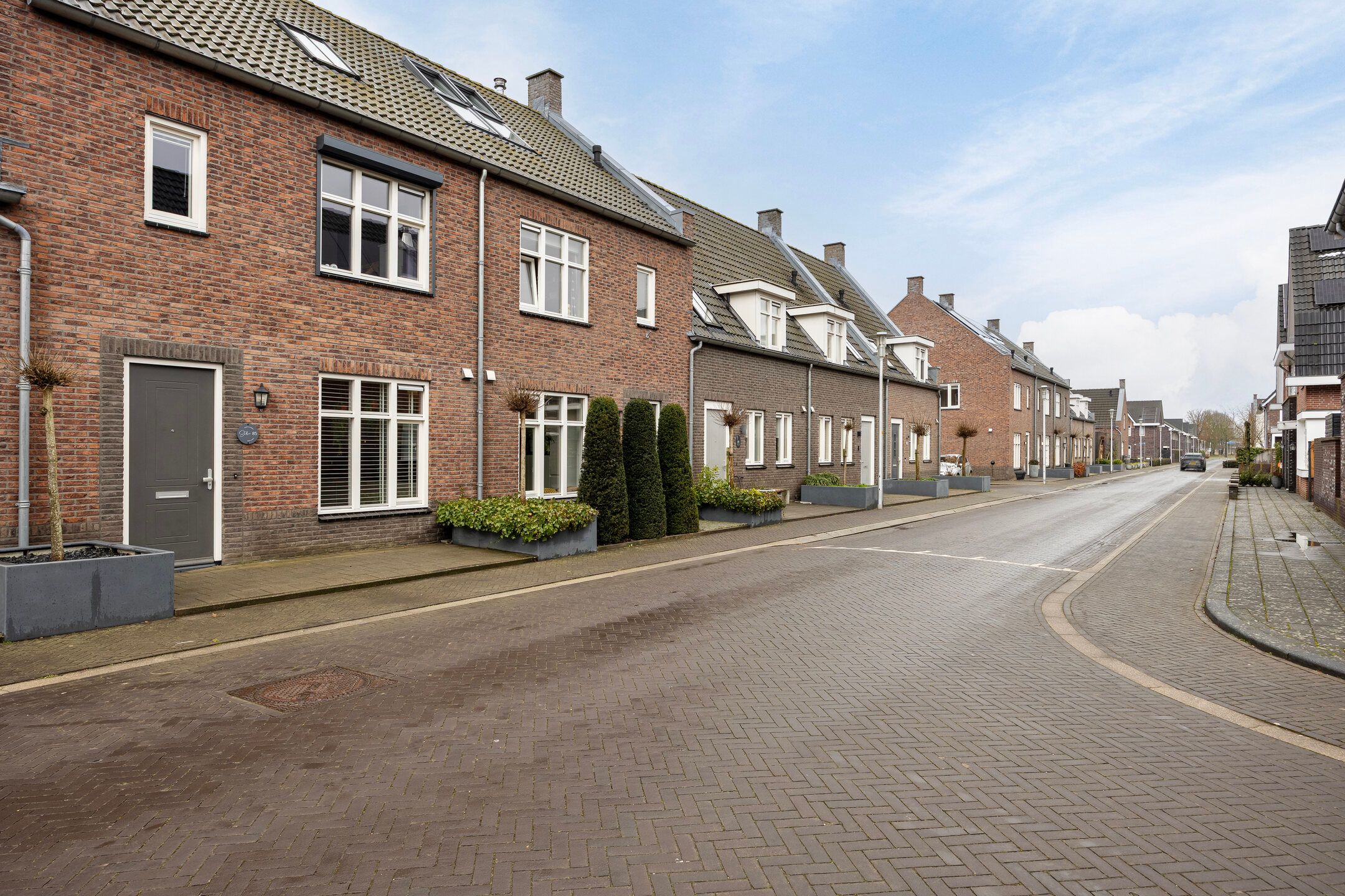 Foto 33 van Vliegenzwam 85