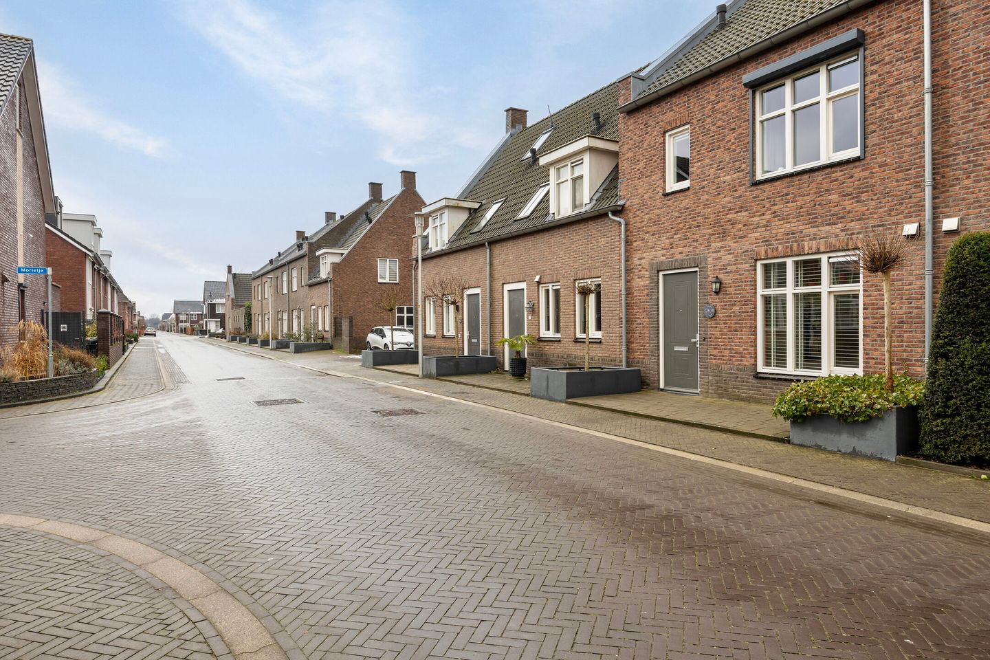 Foto 34 van Vliegenzwam 85