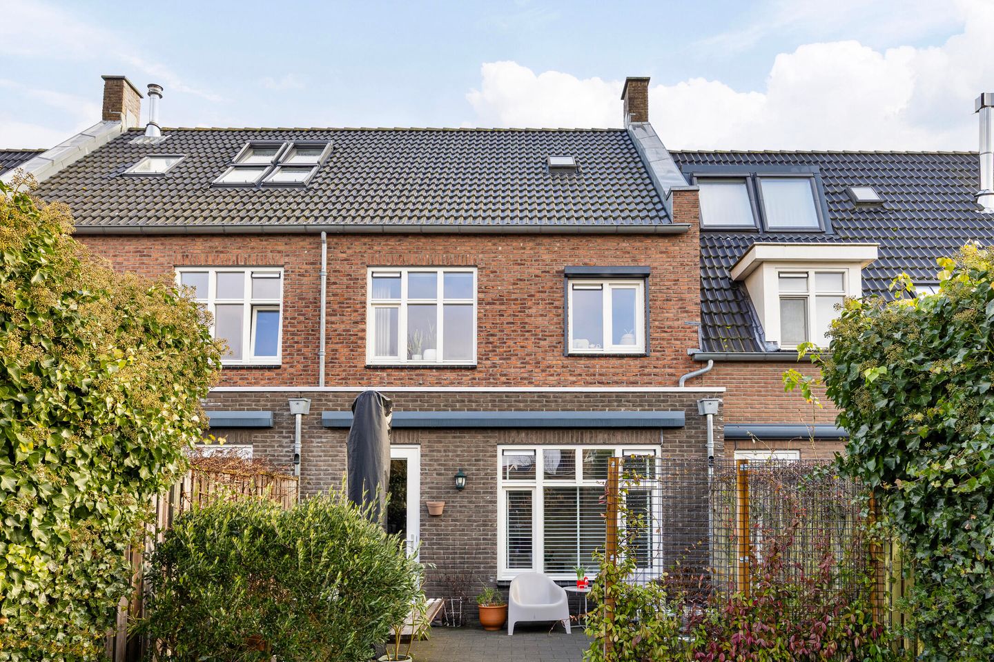 Foto 35 van Vliegenzwam 85