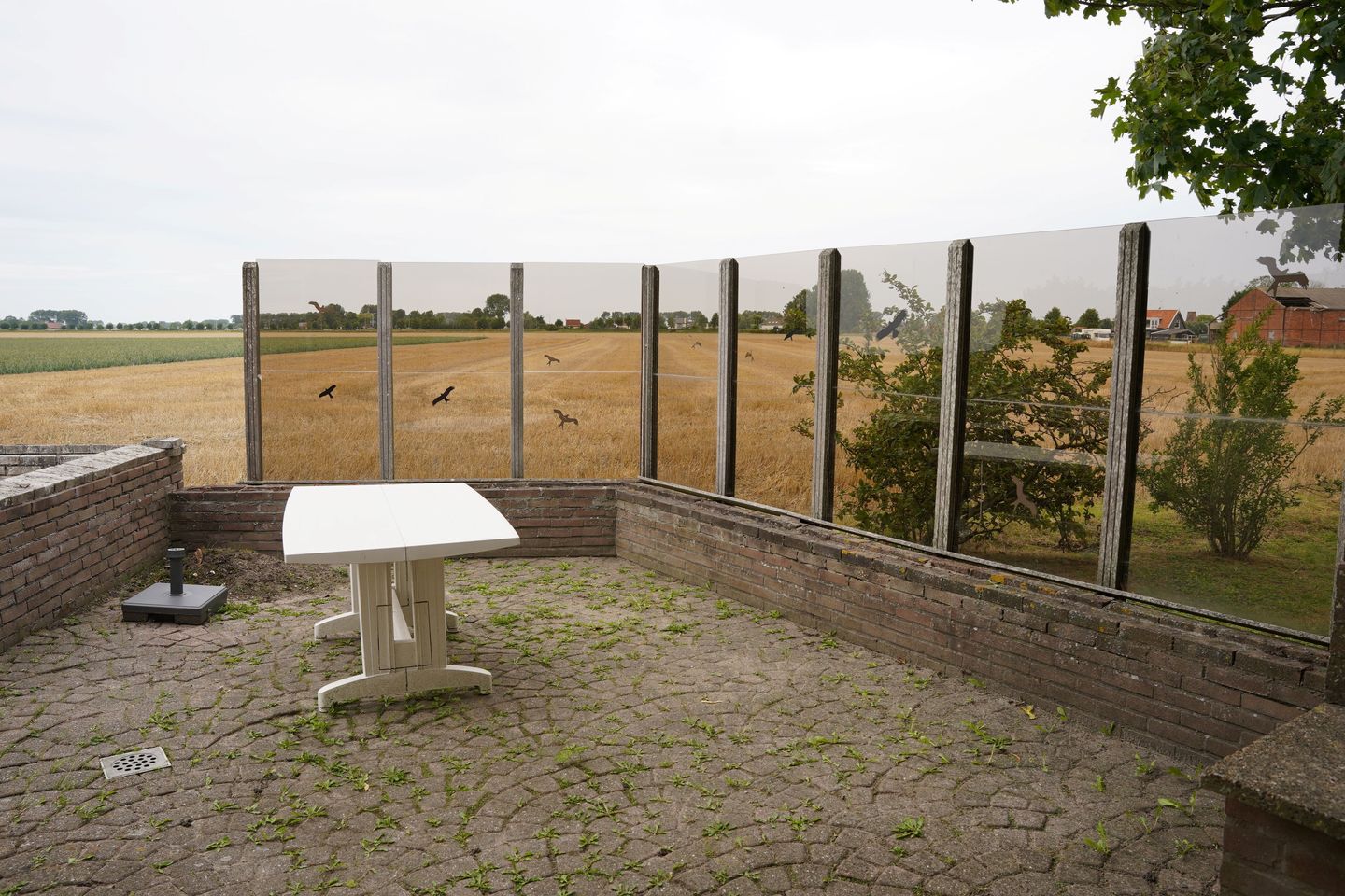 Photo 34 of Ter Moere 4