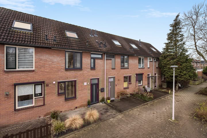 Foto 2 van Binnenkruier 9