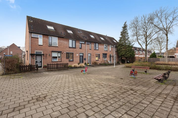 Foto 3 van Binnenkruier 9