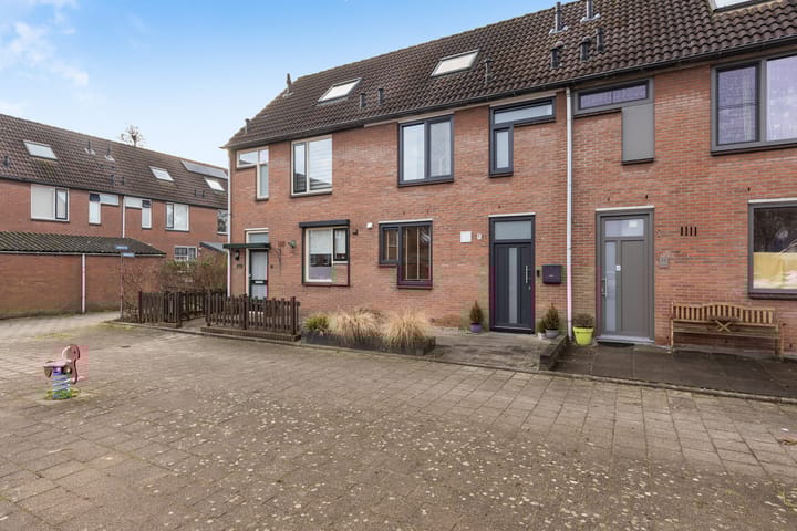 Foto 4 van Binnenkruier 9