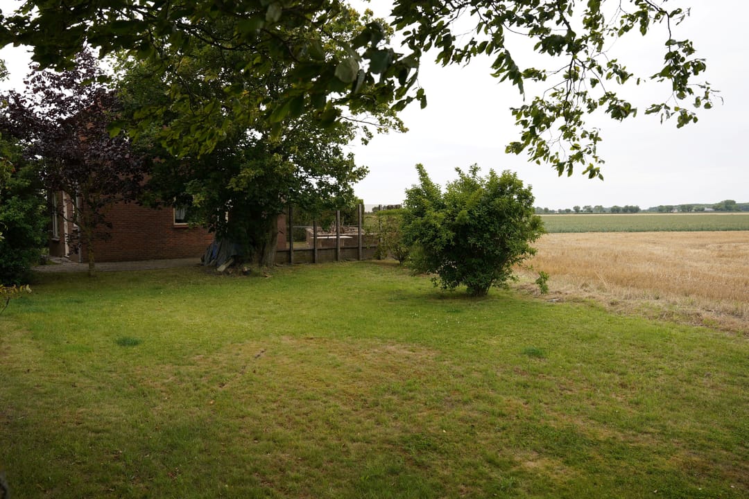 Photo 37 of Ter Moere 4