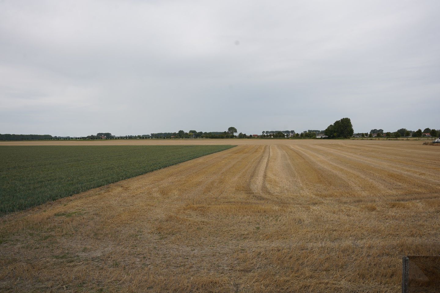 Photo 40 of Ter Moere 4