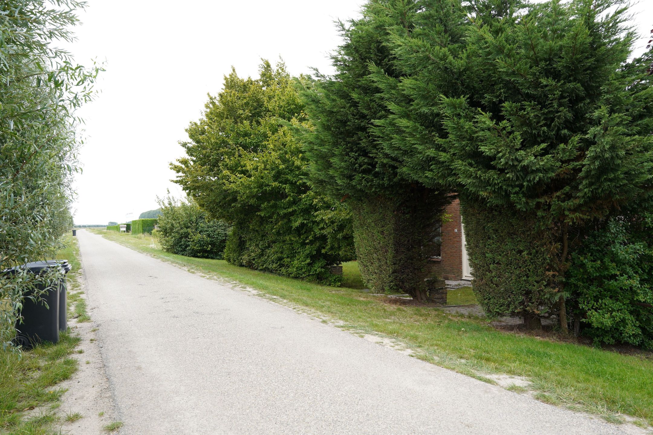 Photo 51 of Ter Moere 4