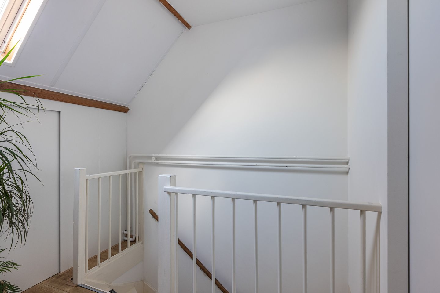 Photo 34 of Binnenkruier 9