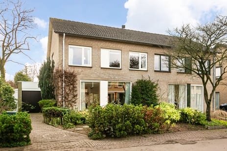 undefined main image