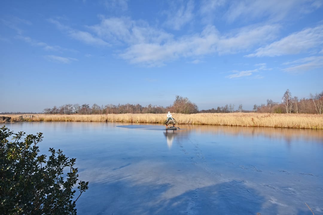 Foto 16 van Mindertsfean 16