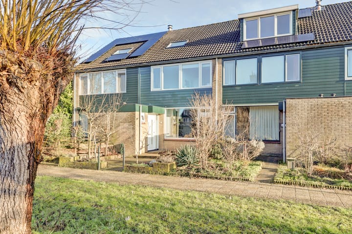 Valeriaan 41 main image