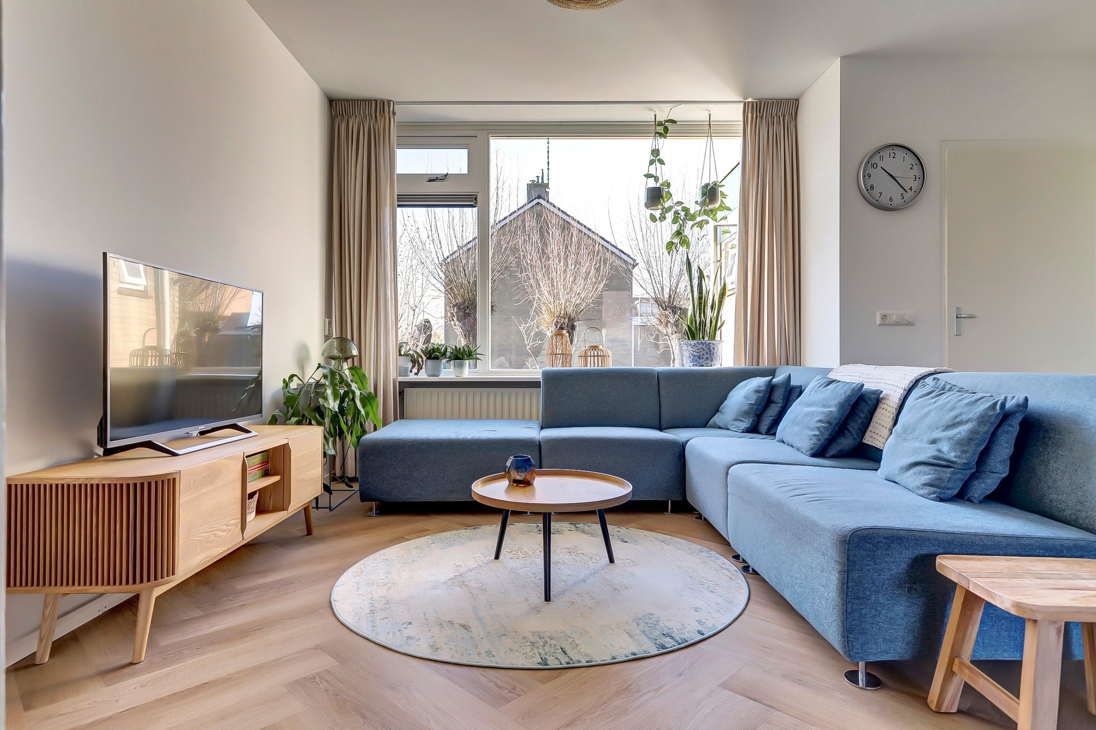 Photo 3 of Valeriaan 41