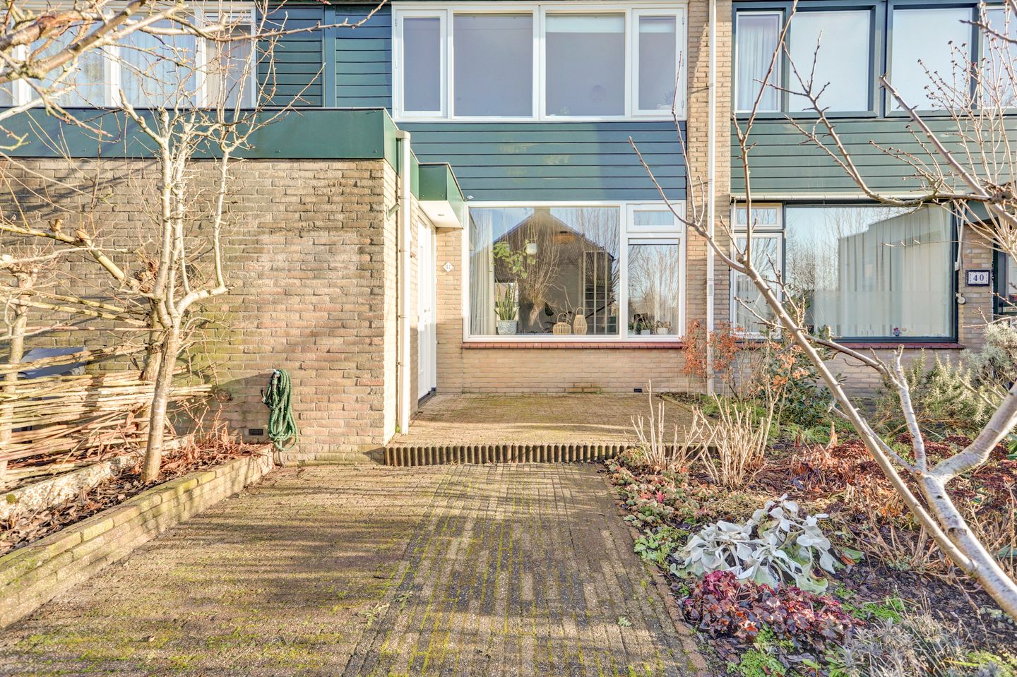 Photo 4 of Valeriaan 41