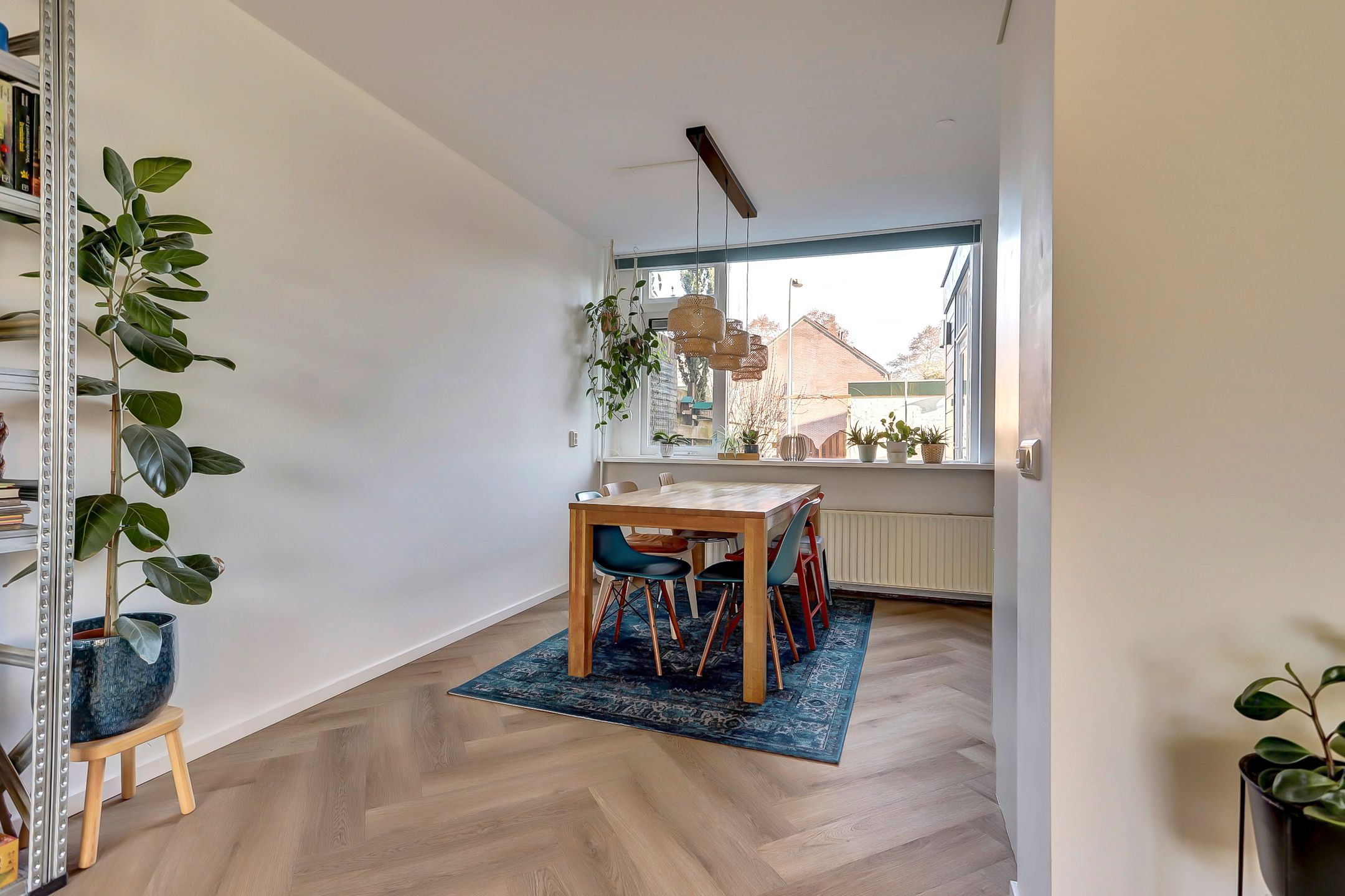 Photo 6 of Valeriaan 41