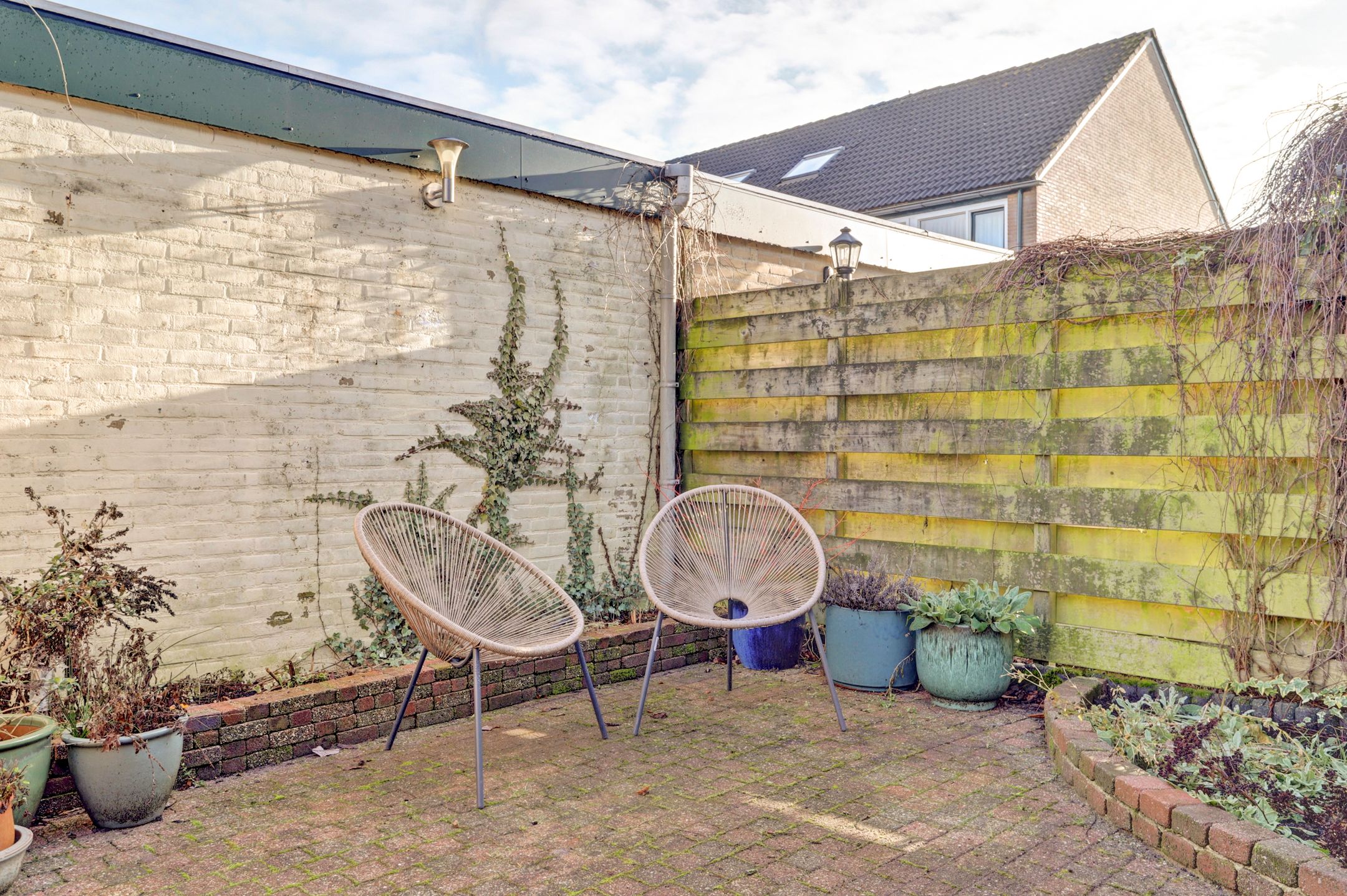 Photo 36 of Valeriaan 41